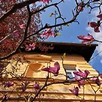 The Villa, Center 4*