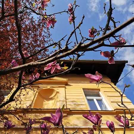 Hiša za goste The Villa, Center