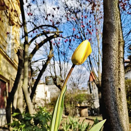 The Villa, Center * Lublana