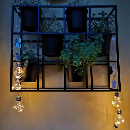 Pensjonat The Villa, Center