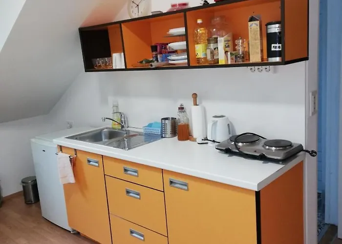 The Villa, Center 4* Любляна