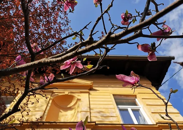 Pensjonat The Villa, Center