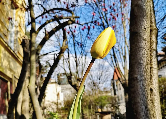 The Villa, Center * Lublana