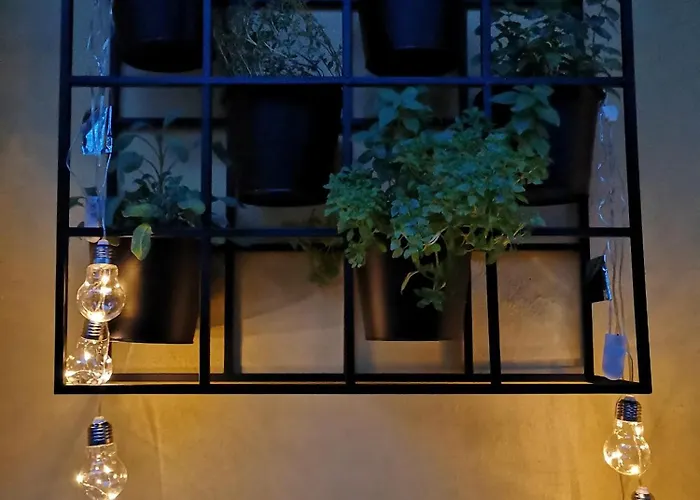 Pensjonat The Villa, Center